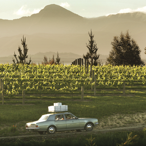 Marlborough, New Zealand – Dog Point Vineyard