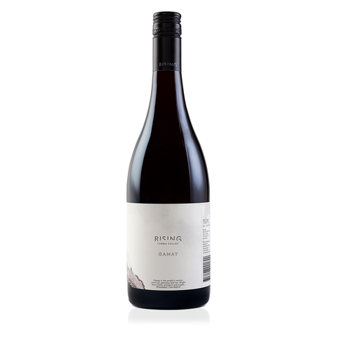 Rising Gamay Noir